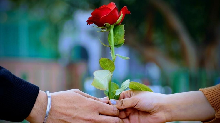 valentine day list 7 to 21